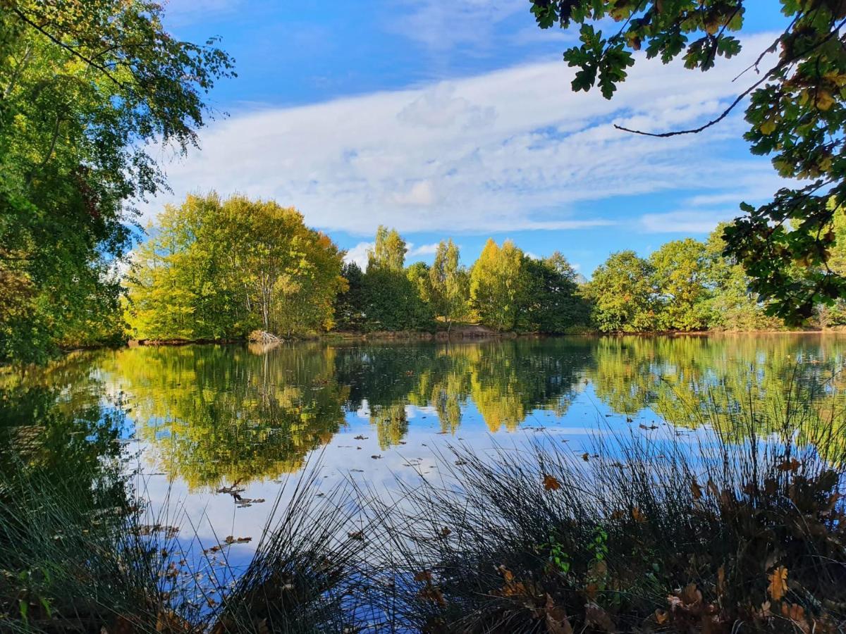Ferienwohnung Am See Dillich - Eigener Garten - Ruhige Lage - Natur Vor Der Haustuer Borken  Exterior photo